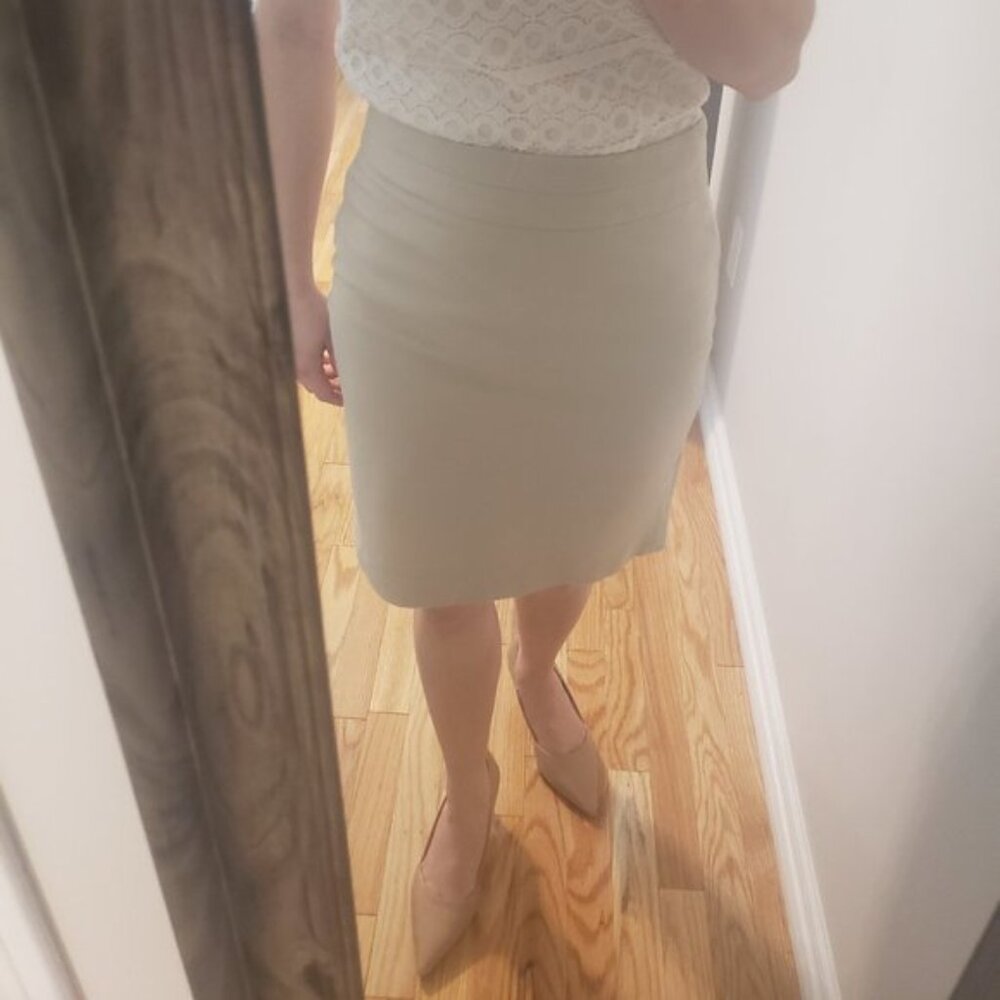 Banana Republic Pencil Skirt